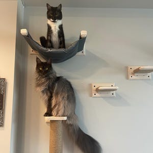 Amelia hat ein Foto des gekauften Artikels hinzugefügt