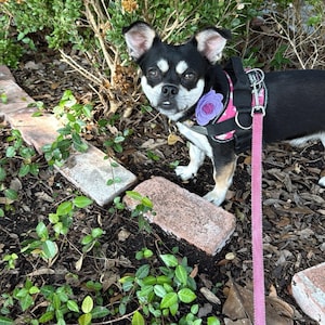 Kathleen added a photo of their purchase