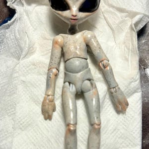 Tony added a photo of their purchase