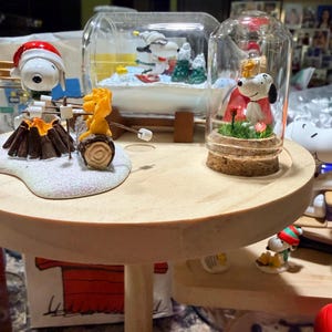Carmen added a photo of their purchase