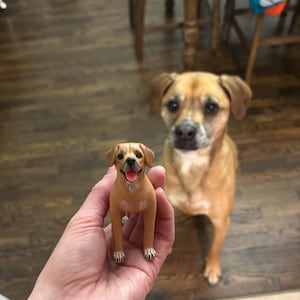 Nicole added a photo of their purchase