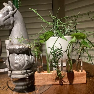 Yvonne added a photo of their purchase