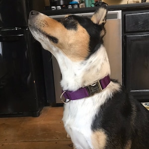 Scout added a photo of their purchase