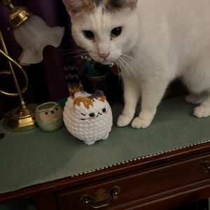Elene added a photo of their purchase