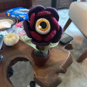 Aliya ha añadido una foto de su compra