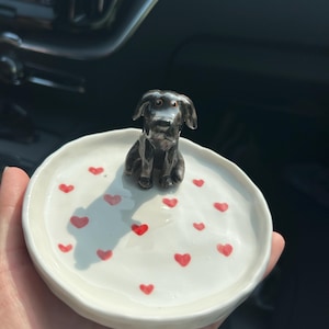 Amelia ha añadido una foto de su compra