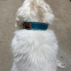 Cass added a photo of their purchase