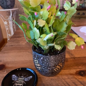 Laurie added a photo of their purchase