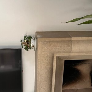 Maria added a photo of their purchase