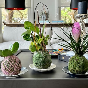 Cindy ha añadido una foto de su compra