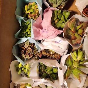 Kendra added a photo of their purchase