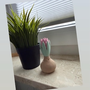 Jenny ha añadido una foto de su compra