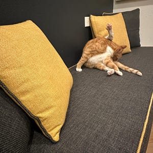 bonbon added a photo of their purchase