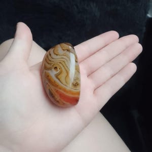 gracie a ajouté une photo de son achat