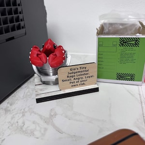 Etsy buyer added a photo of their purchase