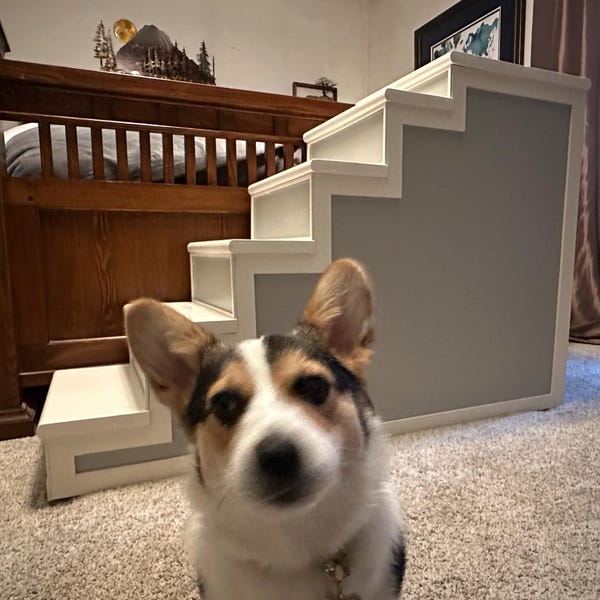 DIY Pet Stairs/steps Plan, Dog Bed Stairs Plan, Dog Bed Steps Plan, Pet