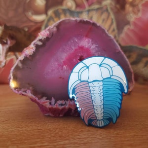 Weird Hyenas added a photo of their purchase