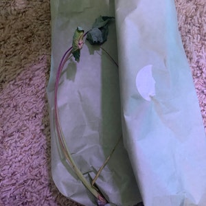 Anna ha añadido una foto de su compra