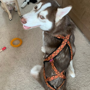 Lauren さんが購入した商品の写真を追加しました