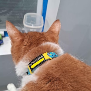 Mandy added a photo of their purchase