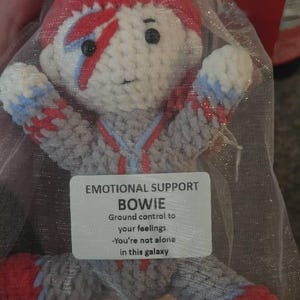 Maddie added a photo of their purchase