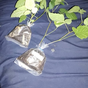 Merle a ajouté une photo de son achat