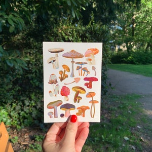 Lisa a ajouté une photo de son achat