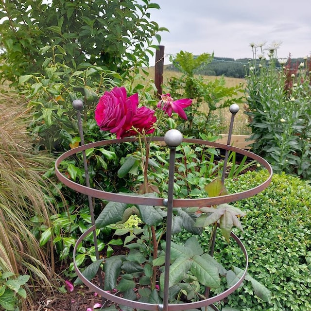 Rusty Peony Cage Plant Support in Sizes- Raw Steel Designed