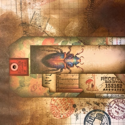 TINY INSECTS Labels Kit Printable Vintage Entomology Butterfly Insect ...