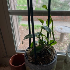 Kent ha añadido una foto de su compra