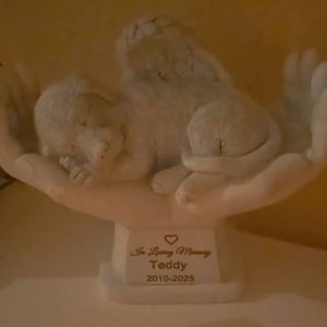 Denise added a photo of their purchase