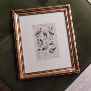 Esther added a photo of their purchase