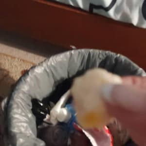 brenda added a photo of their purchase