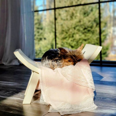 BENCH PHOTO PROP Curved Bench for Newborn and Baby Photography, Newborn ...