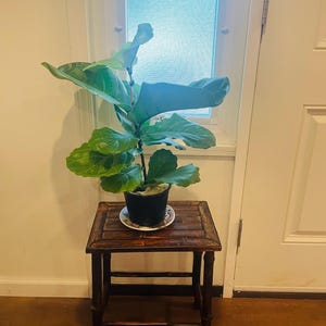 Loida added a photo of their purchase