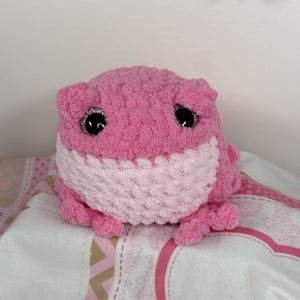 Rachel added a photo of their purchase