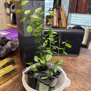 Rebecca added a photo of their purchase