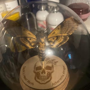 Alysa added a photo of their purchase