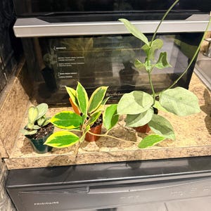 Tammy added a photo of their purchase