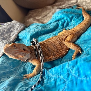 Krista added a photo of their purchase
