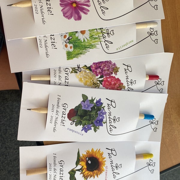 Pack 4 Matite Con Semi Piantabili | Cartoncini Istruzioni Per Bomboniere Eco-Friendly - Foto 4