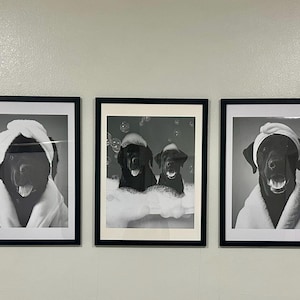 tara added a photo of their purchase