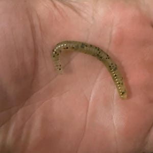 BARBLESS 1/32 oz jig heads (15 jig heads/pack)