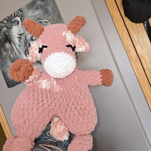 Nicole heeft een foto van de aankoop toegevoegd