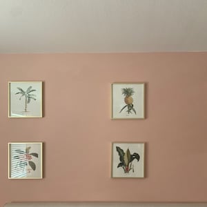 Lisa heeft een foto van de aankoop toegevoegd