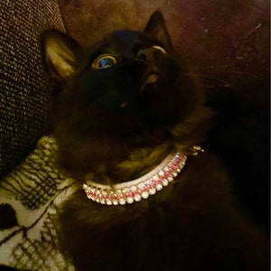 Cami added a photo of their purchase