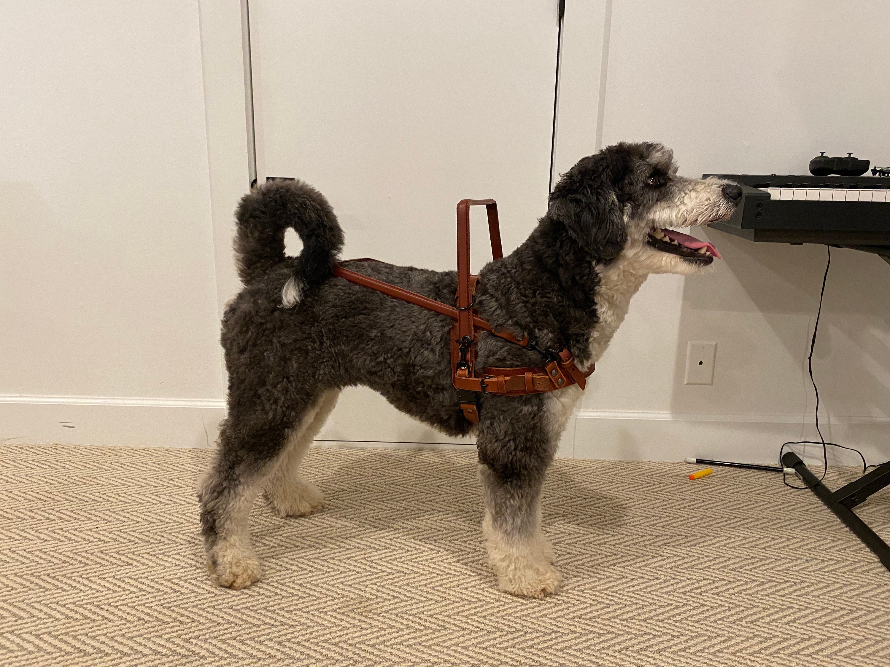 Service Dog Harness, Adjustable Guide Dog Harness, Custom Assistance Dog Harness, Mobility Dog