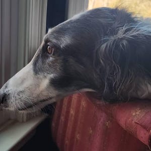 Jessica added a photo of their purchase