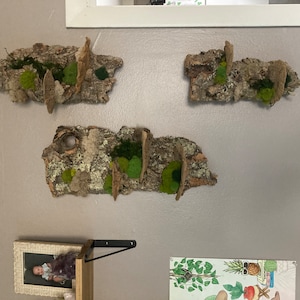 Haley added a photo of their purchase