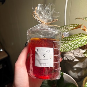 Elise added a photo of their purchase